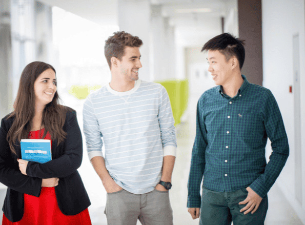 Undergraduate Programs